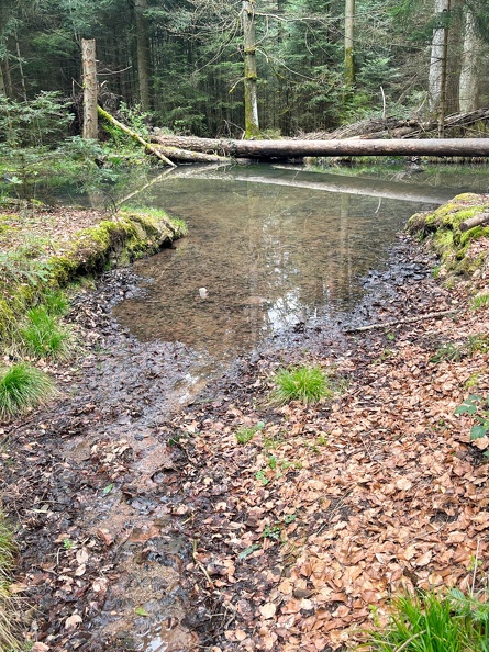 23-04-30 14-59-53 5250.jpeg